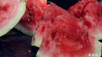 吃瓜喝茶农村,探寻乡村生活新风尚